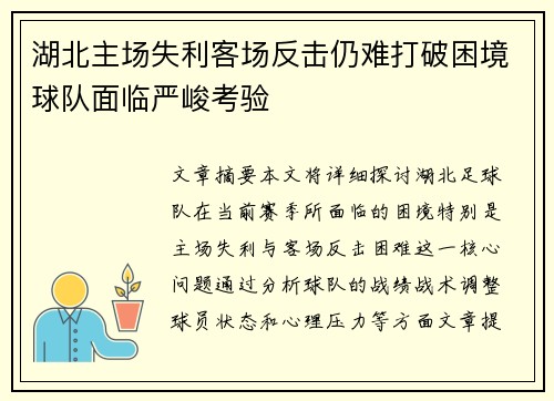 湖北主场失利客场反击仍难打破困境球队面临严峻考验
